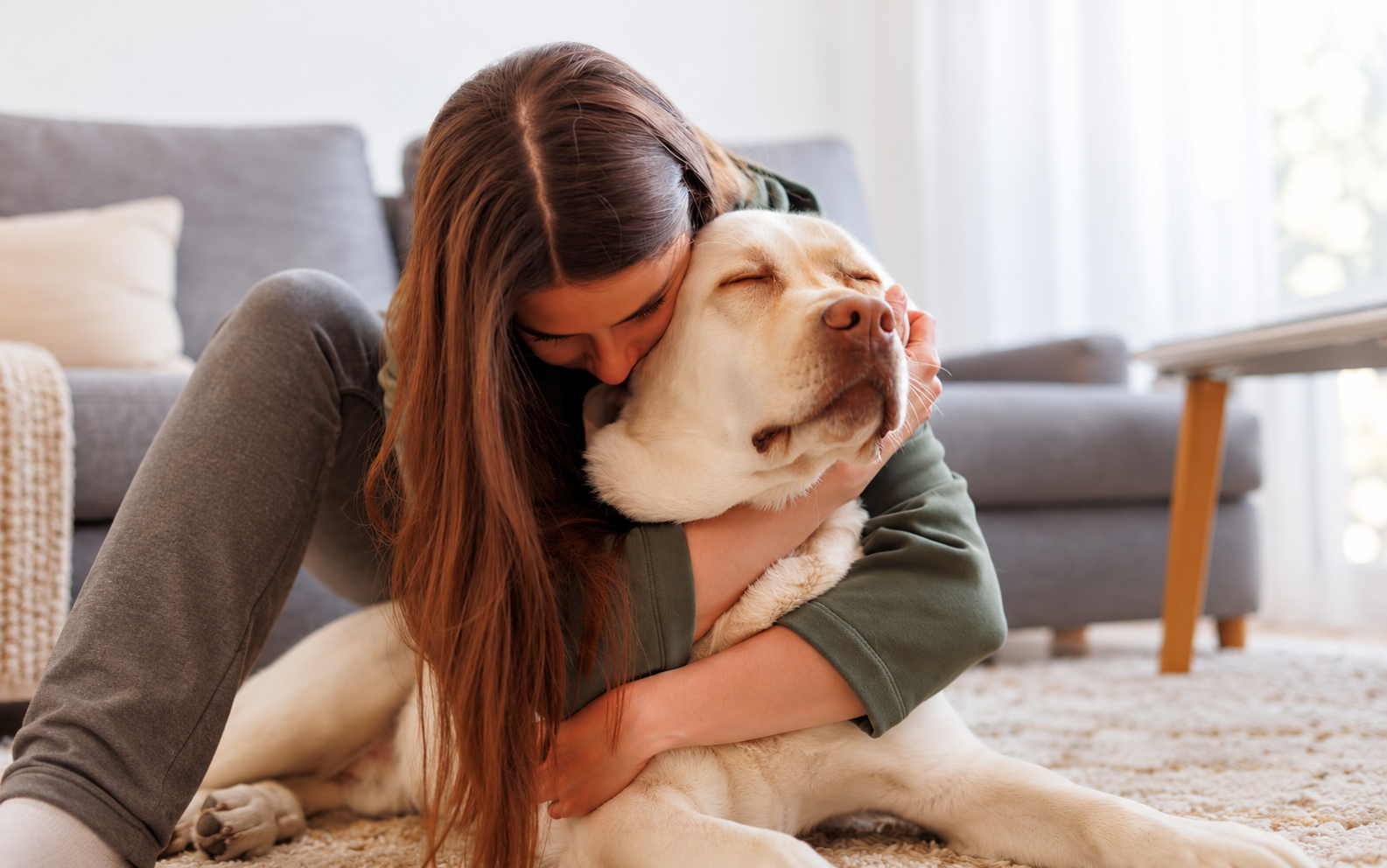 Tender Living Room Dog Cuddle